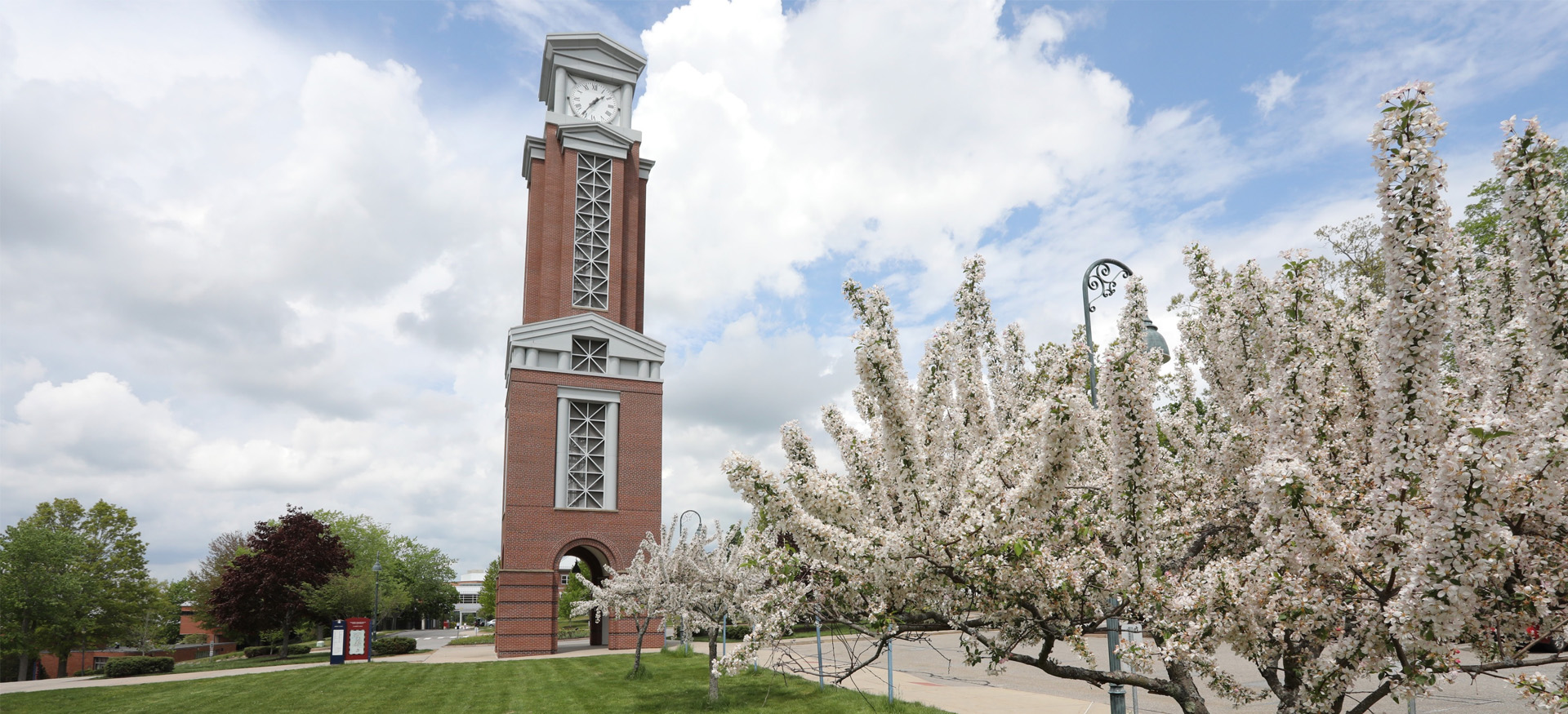 the Eastern clocktower with white flowering tree in foreground