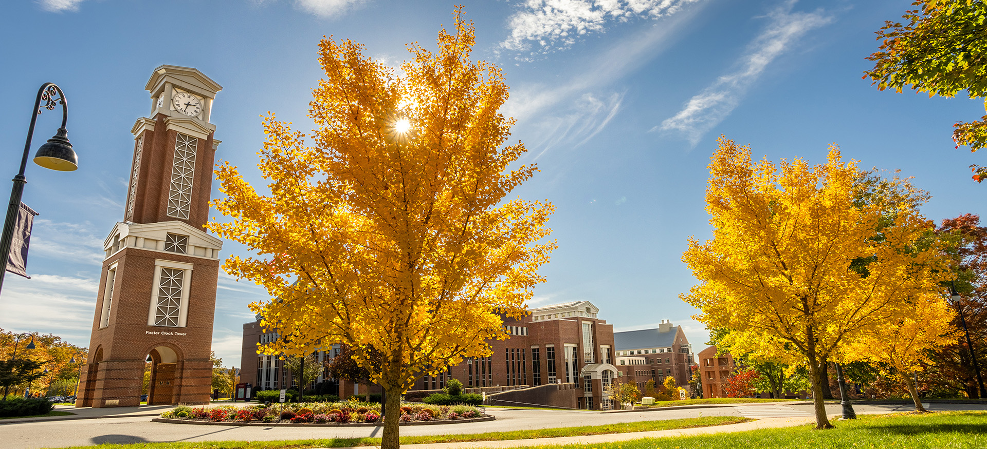 the Eastern clocktower with a golden leafed tree in the foreground