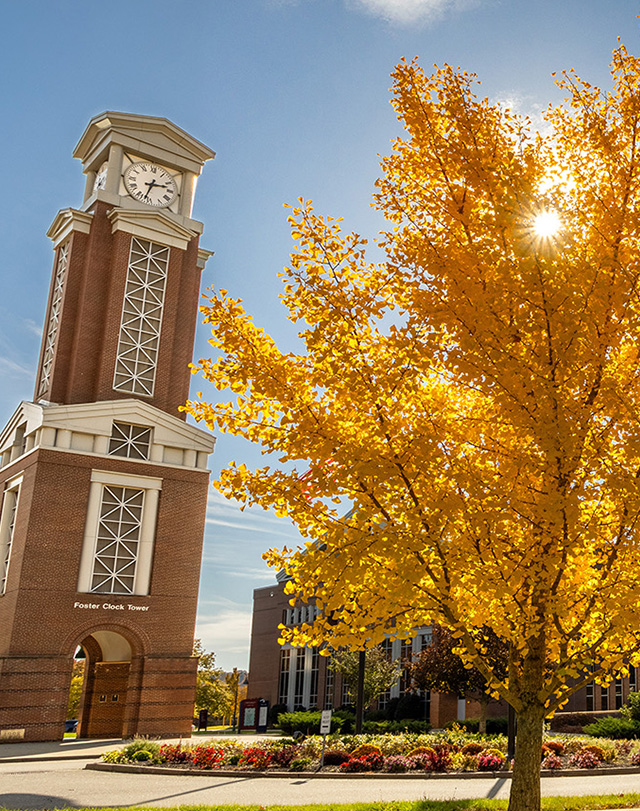 the Eastern clocktower with a golden leafed tree in the foreground