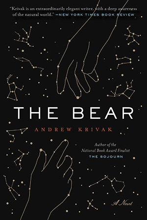 cover of the book The Bear