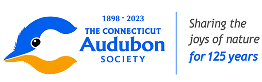 connecticut audubon society logo