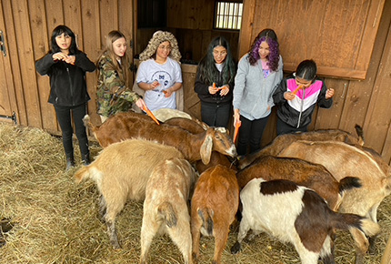 students feeding farm animals