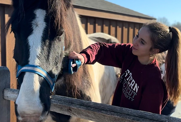 student brushing a horse