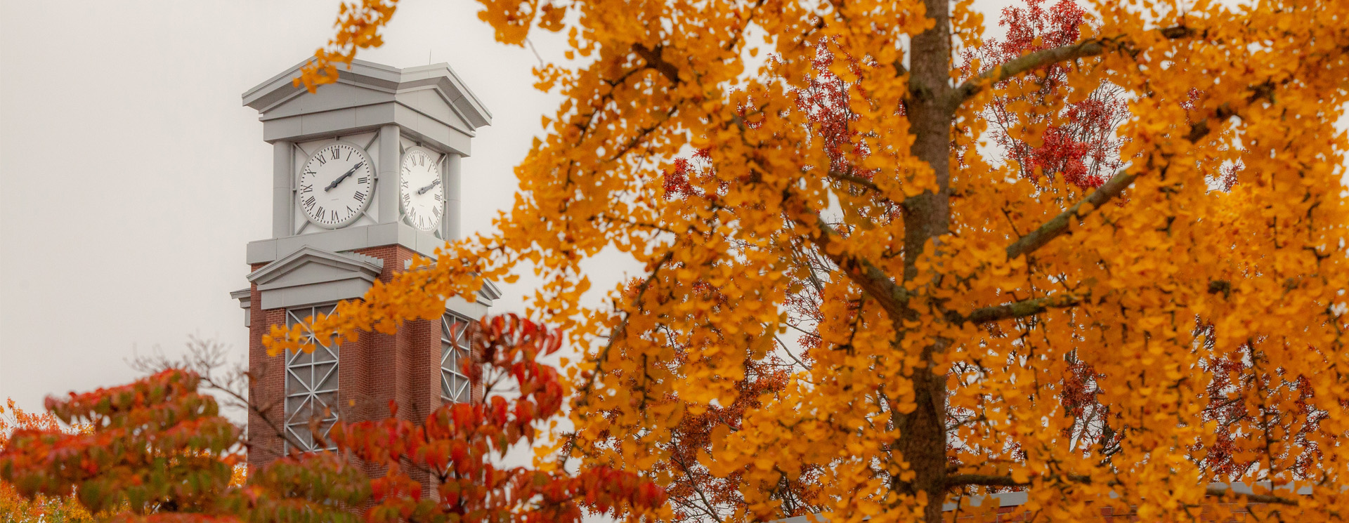 the Eastern clocktower seen through orange leaves