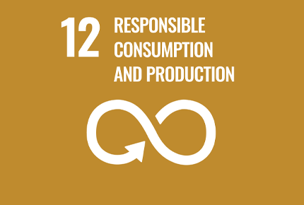 Sustainable Development Goal 12: Responsible Consumption and Production