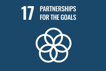 Sustainable Development Goal 17: Partnerships for the Goals