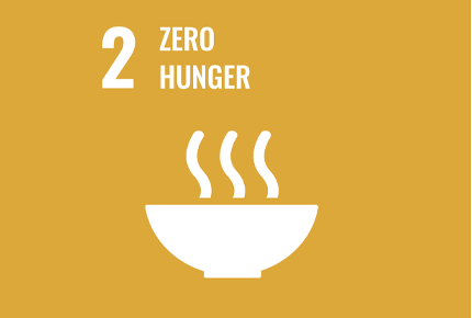 Sustainable Development Goal 2: Zero Hunger